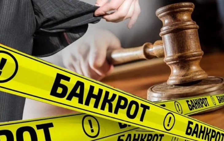 Механизм восстановления платежеспособности и банкротства физических лиц Механизм восстановления платежеспособности и банкротства физических лиц