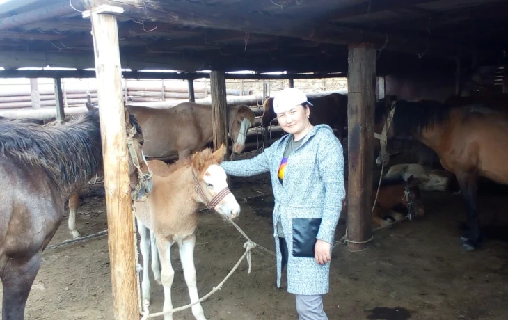 БИТВА «Е-ШЕК» И НАЦИОНАЛЬНЫХ ПРОДУКТОВ БИТВА «Е-ШЕК» И НАЦИОНАЛЬНЫХ ПРОДУКТОВ