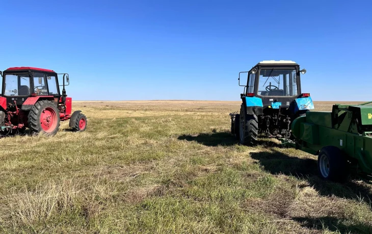 🌾 Ұлытау облысында егін жинау науқаны басталды