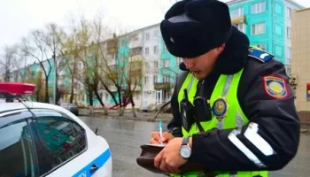 Инструкция по выживанию на дороге: за что и сколько платят водители