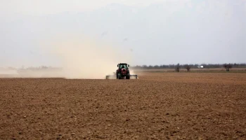 В южных регионах Казахстана завершается посевная кампания