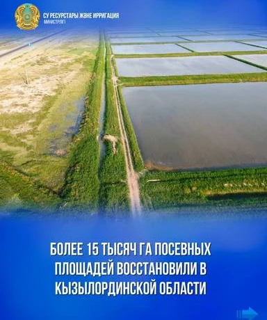 Более 15 тысяч га посевных площадей восстановили в Кызылординской области Более 15 тысяч га посевных площадей восстановили в Кызылординской области
